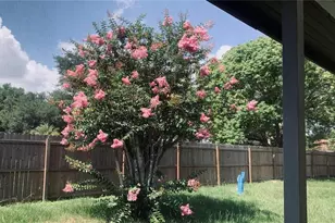 11734 Oswalt Rd, Clermont, FL 34711 - Photo 5