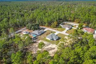 8425 N Legacy Loop, Citrus Springs, FL 34433 - Photo 51