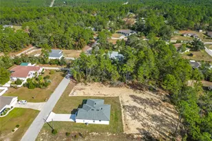 8425 N Legacy Loop, Citrus Springs, FL 34433 - Photo 47