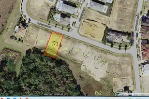 8031 Twin Eagles Loop, Reunion, FL 34747 - Photo 1