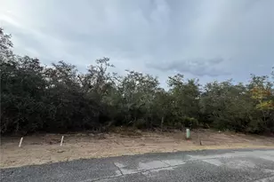 1633 Pickerel Ct, Kissimmee, FL 34759 - Photo 1