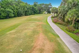 591 Highlands Hammock Dr, Kissimmee, FL 34759 - Photo 47