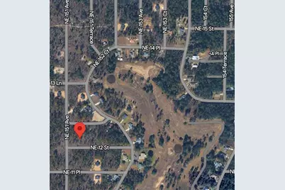 Tbd NE 12 Street, Williston, FL 32696 - Photo 3