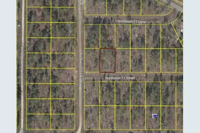Tbd NE 12 Street, Williston, FL 32696 - Photo 1