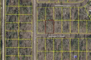 Tbd NE 12 St, Williston, FL 32696 - Photo 1