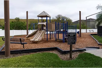 10162 Carloway Hills Drive, Wimauma, FL 33598 - Photo 35