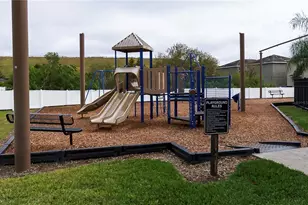 10162 Carloway Hills Dr, Wimauma, FL 33598 - Photo 35