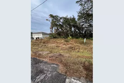 328 Alewife Lane, Kissimmee, FL 34759 - Photo 1