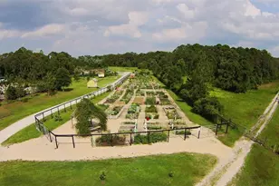 3308 Primrose Willow Dr, Saint Cloud, FL 34773 - Photo 67