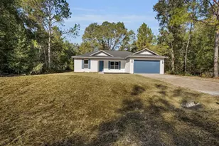 11790 Orange Rd, Ocklawaha, FL 32179 - Photo 1