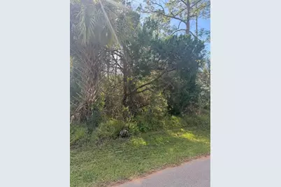 38 Sleepy Hollow Trail, Palm Coast, FL 32164 - Photo 5