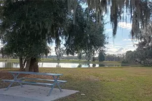 1904 Flourish Ave, Kissimmee, FL 34744 - Photo 31