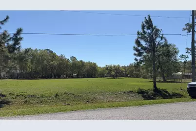 00 Haywood Ruffin Road, Saint Cloud, FL 34771 - Photo 5