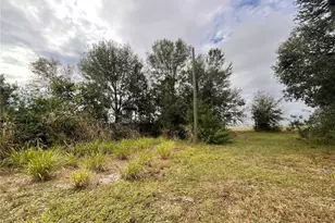 1701 Sanford St, Lake Wales, FL 33859 - Photo 19