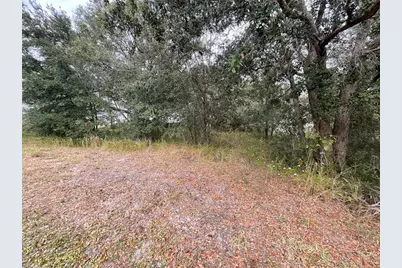 1701 Sanford Street, Lake Wales, FL 33859 - Photo 21