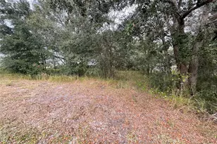 1701 Sanford St, Lake Wales, FL 33859 - Photo 21