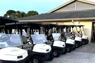 3415 Santa Monica Dr, Orlando, FL 32822 - Photo 27