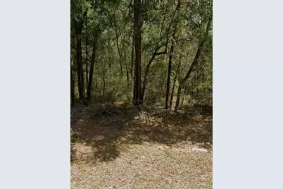 9231 N Sherman Drive, Citrus Springs, FL 34434 - Photo 1