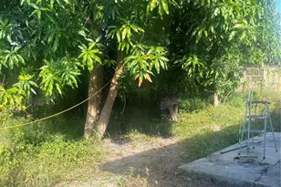 4919 Keith Pl, Orlando, FL 32808 - Photo 15