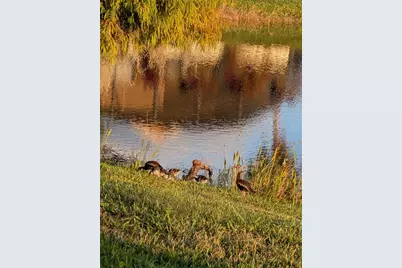 [Address not provided], Kissimmee, FL 34759 - Photo 21