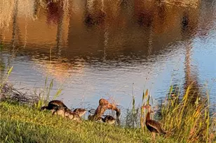 [Address not provided], Kissimmee, FL 34759 - Photo 21