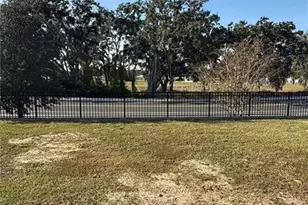 317 Feltrim Reserve Blvd, Davenport, FL 33837 - Photo 9