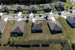 16402 Blooming Cherry Dr, Groveland, FL 34736 - Photo 29