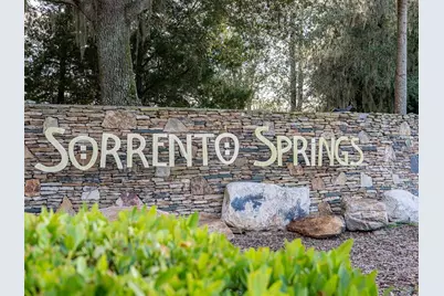 34142 Madiera Lane, Sorrento, FL 32776 - Photo 51