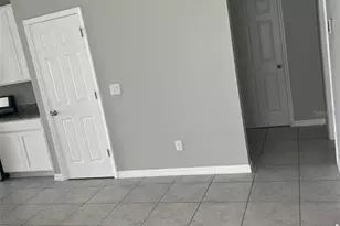 29453 Caspian St, Leesburg, FL 34748 - Photo 7