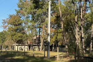 791 SE 142 Ave, Williston, FL 32696 - Photo 3