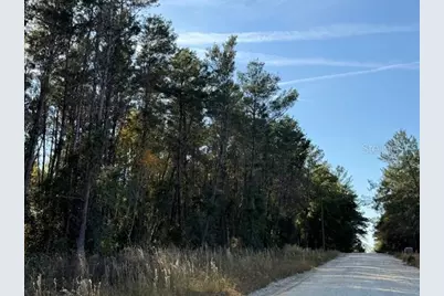 791 SE 142 Avenue, Williston, FL 32696 - Photo 5