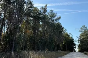 791 SE 142 Ave, Williston, FL 32696 - Photo 5