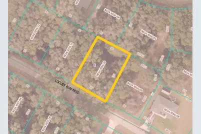 Locust Run Pass, Ocala, FL 34472 - Photo 3