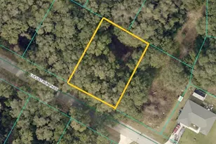 Locust Run Pass, Ocala, FL 34472 - Photo 1