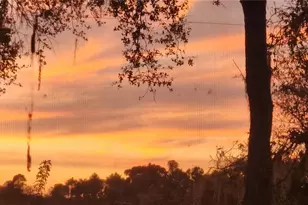 4705 Kissimmee Park Rd, Saint Cloud, FL 34772 - Photo 27