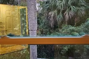 2514 Lemon Tree Ln, Orlando, FL 32839 - Photo 9