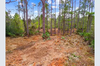 0 Dease Road, Saint Cloud, FL 34771 - Photo 11