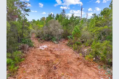0 Dease Road, Saint Cloud, FL 34771 - Photo 9