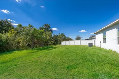 4264 Desert Rose Avenue, Kissimmee, FL 34746 - Photo 3