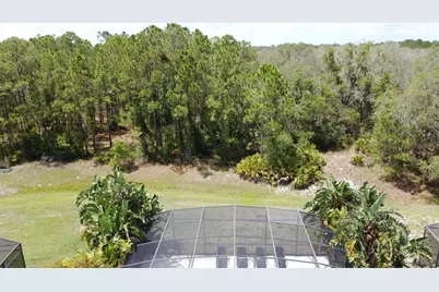 394 Orange Cosmos Boulevard, Davenport, FL 33837 - Photo 75