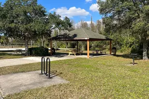 10258 Lake District Ln, Orlando, FL 32832 - Photo 27