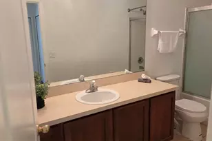 10258 Lake District Ln, Orlando, FL 32832 - Photo 17