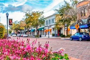 3383 Hamlet Loop, Winter Park, FL 32792 - Photo 11