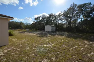 125 Conch Dr, Kissimmee, FL 34759 - Photo 21