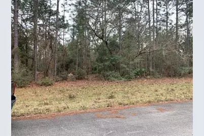 156 St, Ocala, FL 34473 - Photo 5