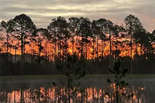 16392 Winding Preserve Cir, Clermont, FL 34714 - Photo 5