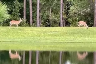 16392 Winding Preserve Cir, Clermont, FL 34714 - Photo 41