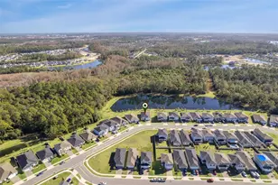 16392 Winding Preserve Cir, Clermont, FL 34714 - Photo 39