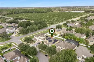 13339 Roskin Ln, Windermere, FL 34786 - Photo 57