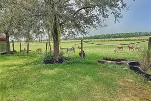 3820 Brooke Lks Dr, Fort Meade, FL 33841 - Photo 35